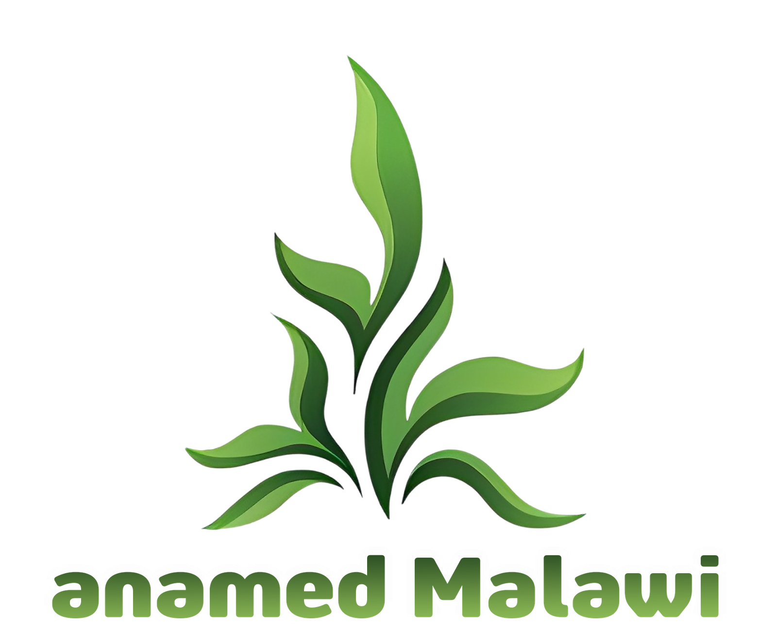 Anamed Malawi Logo